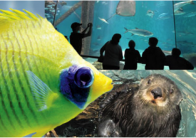 Aquarium of the Americas, Audubon Aquarium